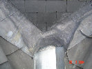 wpb8888302_0f.jpg